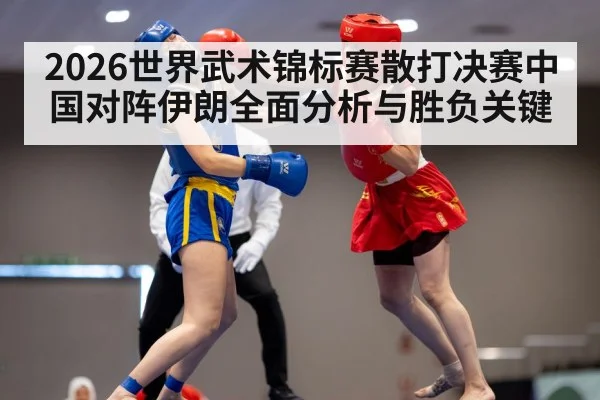 wushu sanda match
